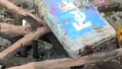 Pencari kerang di Sabang, Aceh menemukan 1 kg kokain tersangkut di akar pohon dalam kondisi berlumpur.