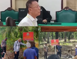 Perambah Taman Margasatwa KG-LTL Divonis PT Medan 10 Tahun Penjara dan Ditahan Serta Denda Rp 856 Miliar, Akuang Masih Berkeliaran dan Kejatisu Tak Tahu Kondisi Objek Sitaan