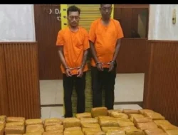 Kurir 255 Kg Ganja Ditangkap saat Melintas ke Medan, Pengendalinya Masih Diburu.