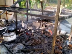 MESS KARYAWAN PECAL AYAM CAK BLANGKON JALUR 32 TERBAKAR, DAMKAR PASBAR BERTARUH NYAWA PADAMKAN API GERAK CEPAT 1 MENIT, 6 PERSONEL POSKO SIMPANG EMPAT GAGALKAN API LALAP ASET PENGUSAHA KULINER