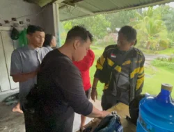 HEBOH! Target Operasi Narkoba Kabur ke Kebun Sawit, Satresnarkoba Pasbar Bekuk Pengedar 38 Paket Sabu-Ganja