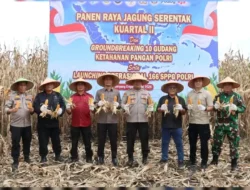 Kapolres Pasbar AKBP Agung Tribawanto Bersama Personil Panen Raya Jagung Serentak Kuartal II Dukung Swasembada Pangan 2026