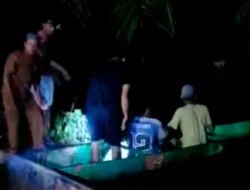 Pria Paruh Baya Hilang Diterkam Buaya Saat Mencari Lokan di Batang Paparian