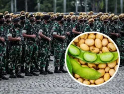 Sinergi Demi Negeri: TNI AD dan TNI AL Emban Mandat Strategis Kawal Swasembada Jagung dan Kedelai