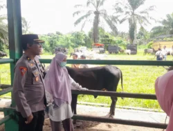 Amankan Iduladha 1447 H, Polres Pasaman Barat Kerahkan Patroli Intensif dan Imbau Warga Waspadai Sindikat Pencurian Hewan Kurban