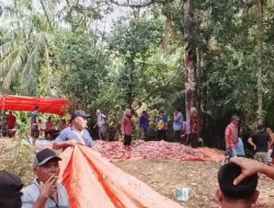 SEMARAK IDUL ADHA 1447 H DI JORONG SUNGAI MAGELANG 14 EKOR SAPI DAN 1 EKOR KAMBING DIKURBANKAN
