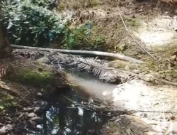 Diduga Buang Limbah ke Sungai, PT Berkat Sawit Sejahtera Kembali Disorot