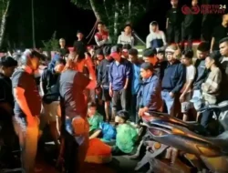 Polres Pasaman Gagalkan Pengiriman 22 Paket Ganja Lintas Daerah, Dua Kurir Diamankan
