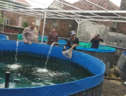 Babinkamtibmas Polsek Bangil Kembangkan Budidaya Lele