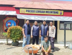 3 Kali Curi Sawit Perusahaan, 1 Kali Lolos, Kali Ini AU Tak Berkutik di Genggaman Tim URC Lembah Melintang