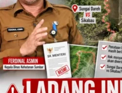BATAS BELUM PASTI! 1.800 HEKTARE KAWASAN HUTAN JADI REBUTAN SUNGAI DAREH DAN SIKABAU