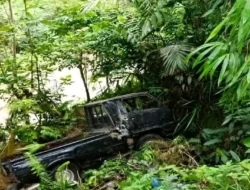 Detik-Detik Pickup Hitam Terjun ke Jurang 15 Meter di Nagari Sungai Magelang Gunung Tuleh, Warga Jalan Licin dan Menukik Tajam